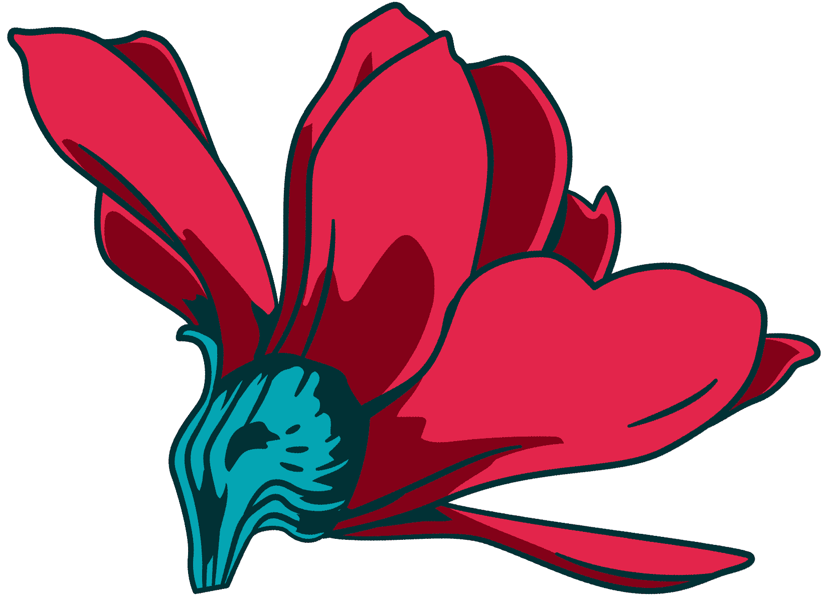 Magnolia Gardens, local news feature
