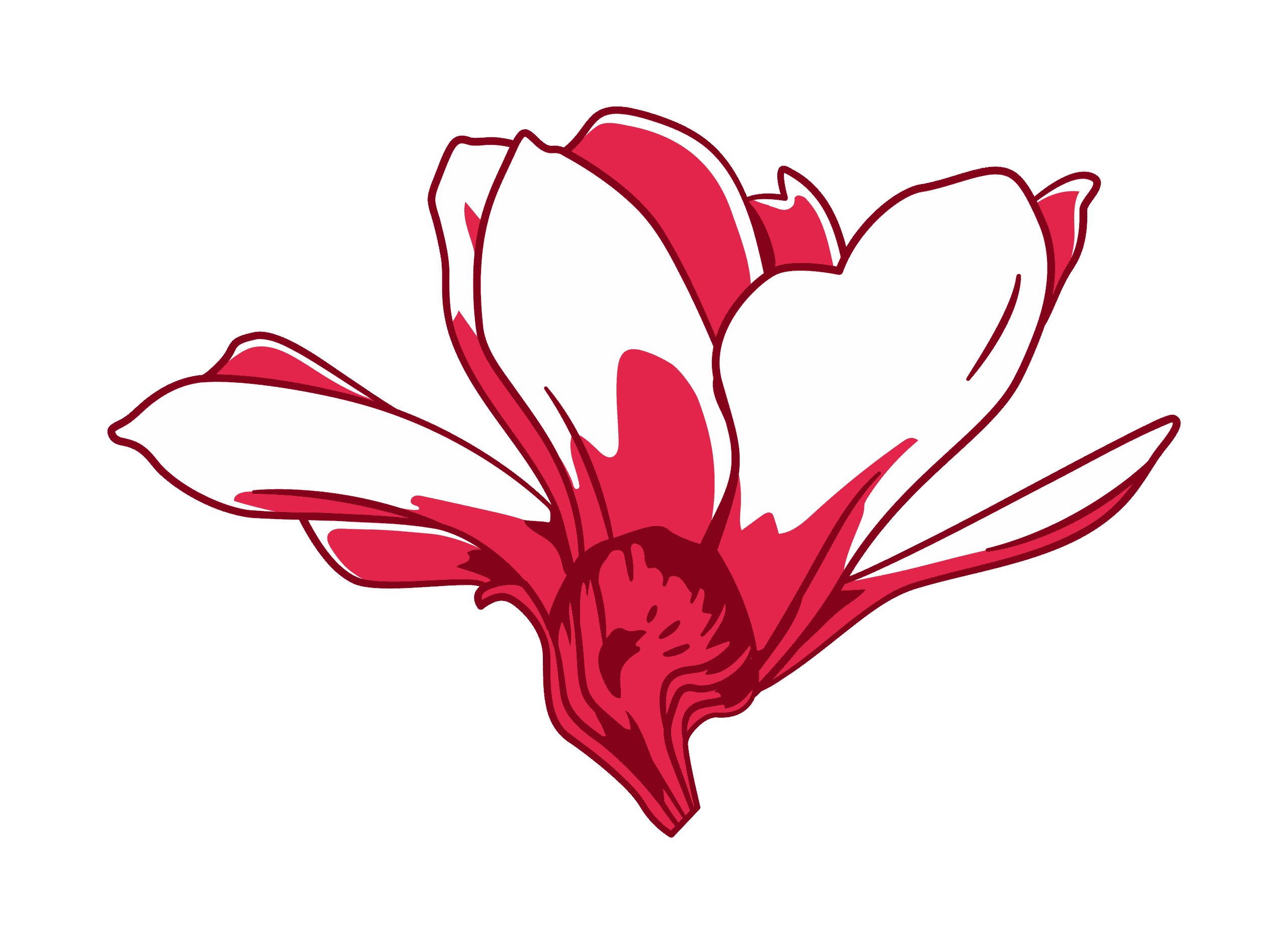 Magnolia Gardens, local news feature